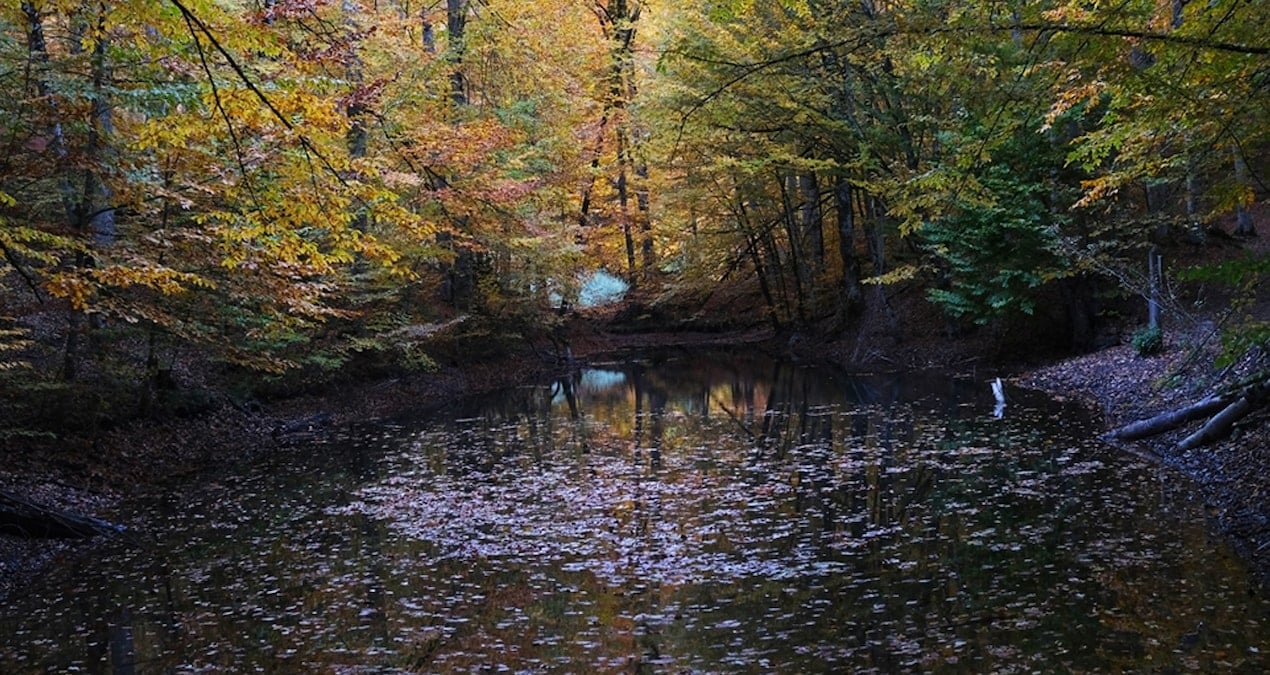 Bolu Valiliği’nden yeni karar: Yedigöller ve Abant için bazı yasaklar geldi